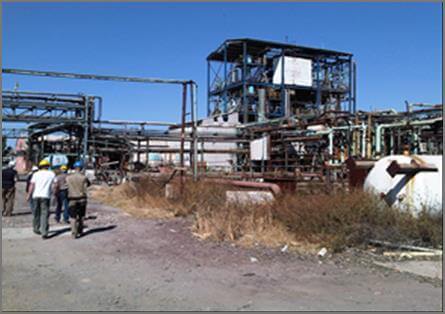 Ruinen der ehemaligen Pestizidfabrik in Salamanca, Mexiko, umgeben von überwuchernder Vegetation und verfallenen Strukturen.